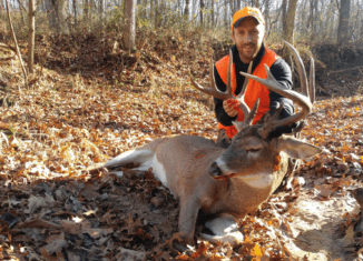 Missouri Whitetail Photo