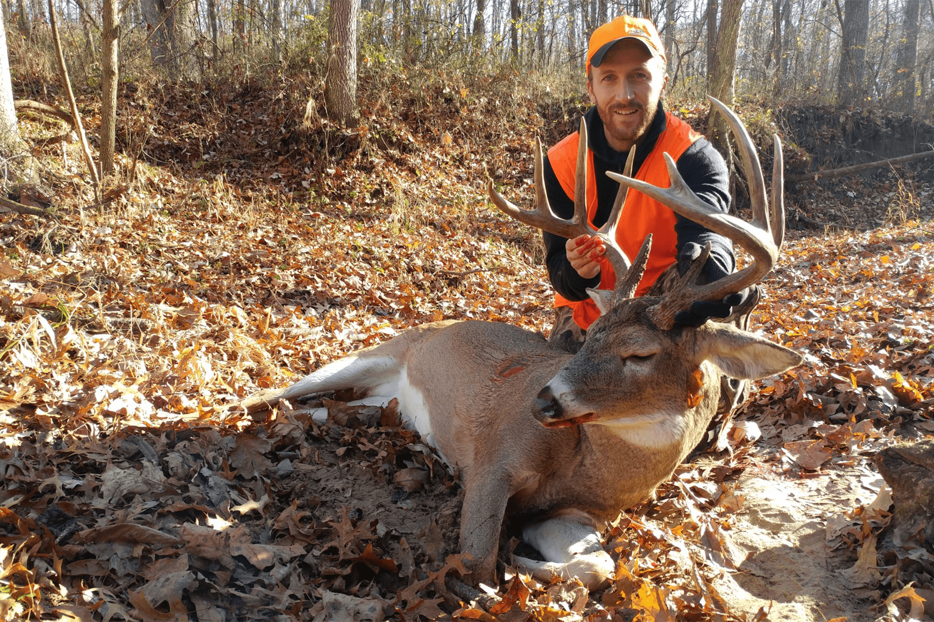 Missouri Whitetail Photo