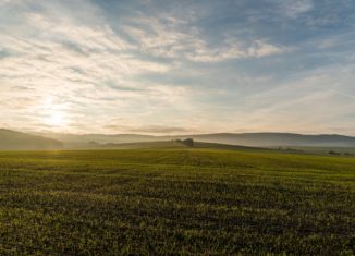 New Field Planted Photo