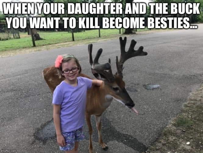 Big Buck Meme