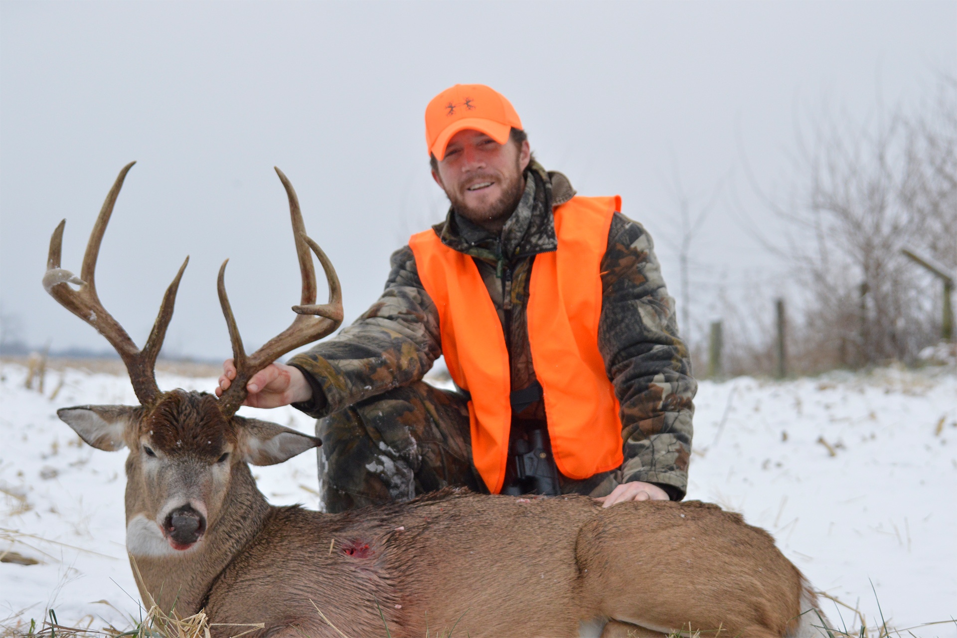 Missouri Whitetail Photo