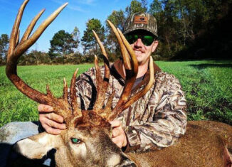 Georgia Whitetail Photo