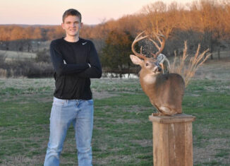 Arkansas Whitetail