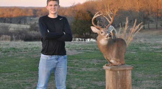 Arkansas Whitetail