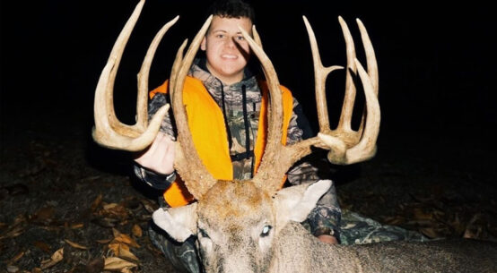 Illinois Whitetail