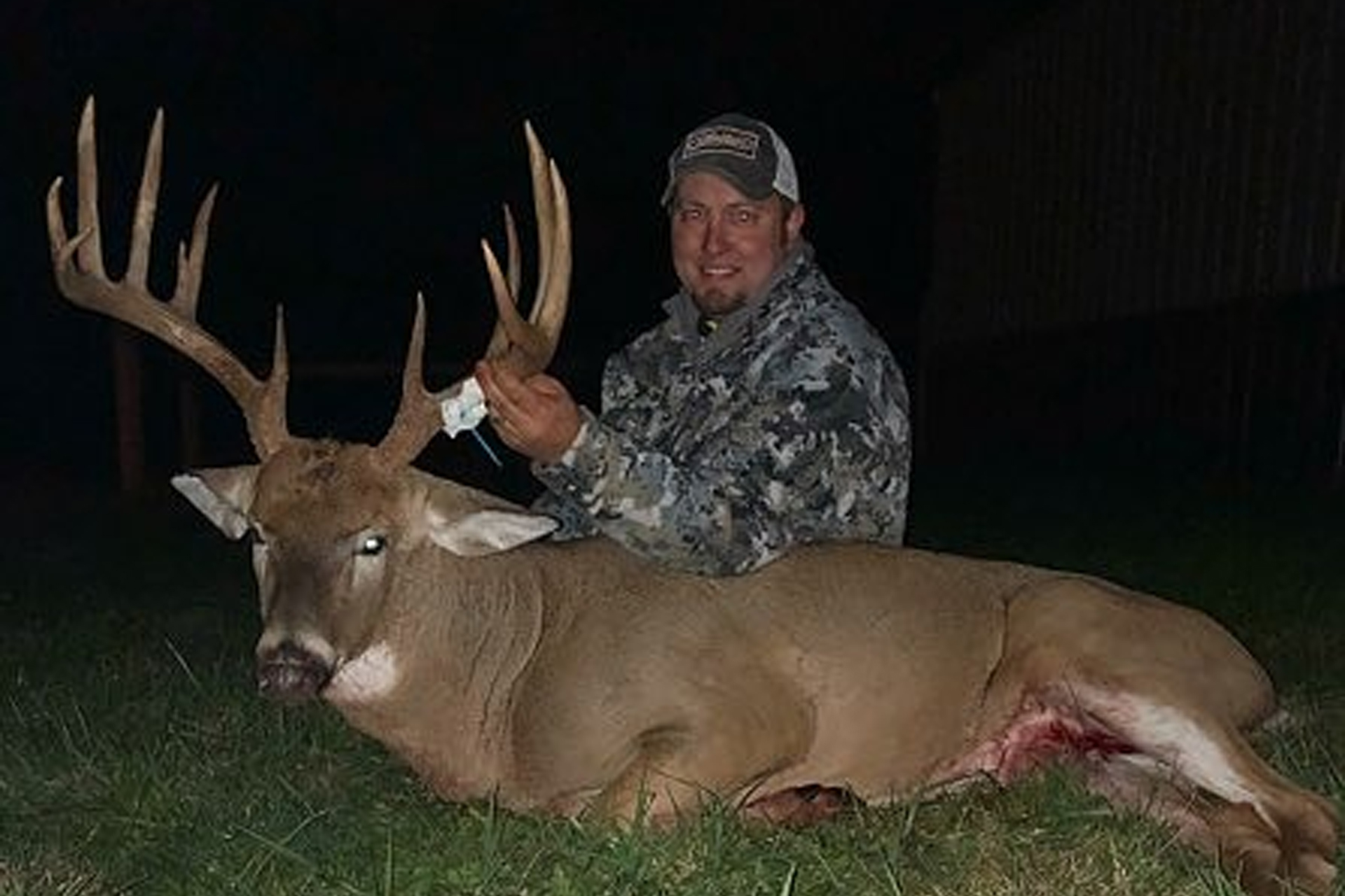 Illinois Whitetail