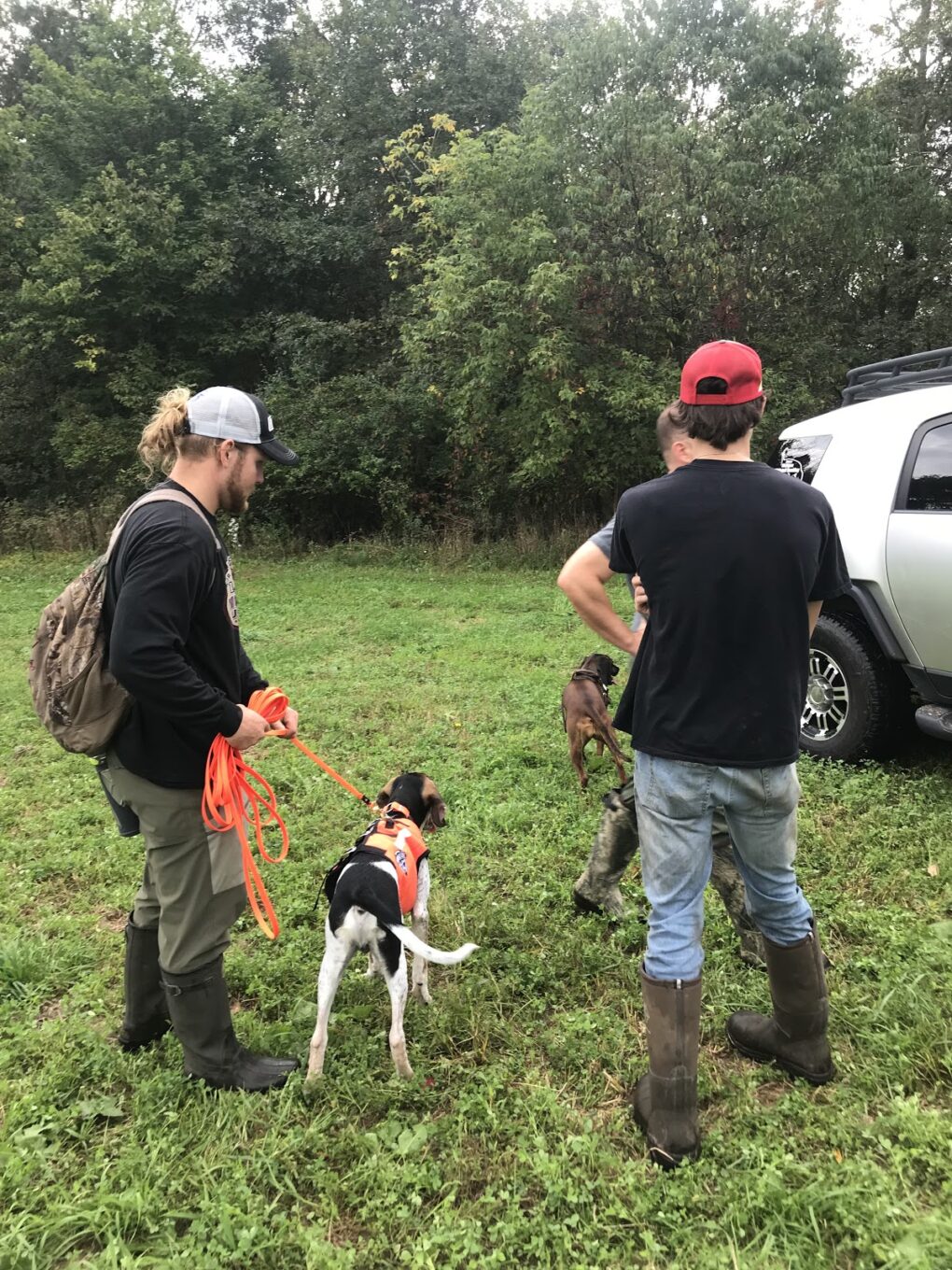 Michigan Deer Tracking Dogs