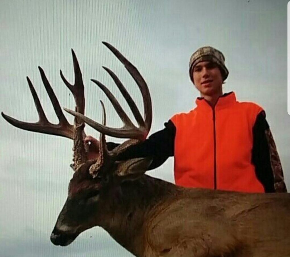 Illinois Whitetail